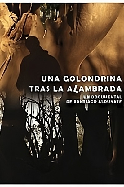Póster de Una golondrina tras la alambrada