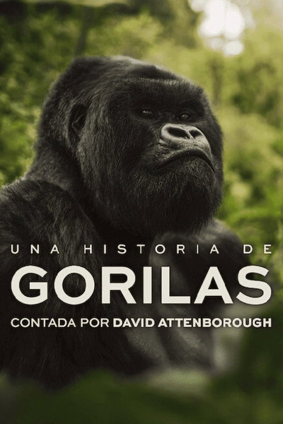 Póster de Una historia de gorilas contada por David Attenborough
