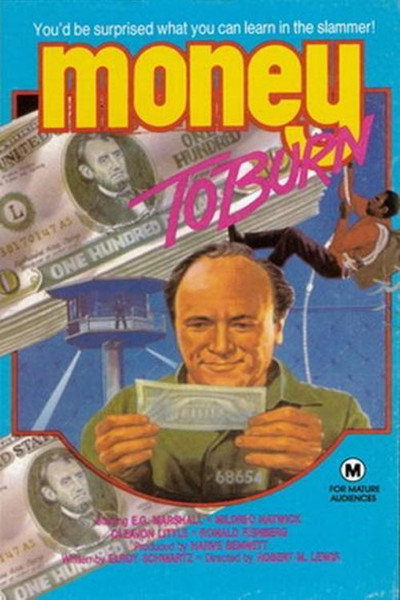 Póster de Una hoguera de dinero