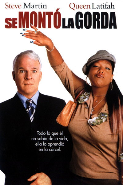 Póster de Una intrusa en la familia