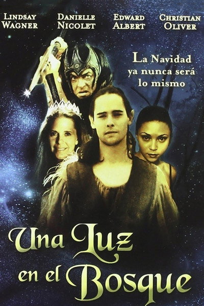Póster de Una luz en el bosque
