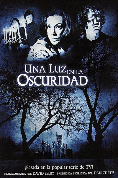 Póster de Una luz en la oscuridad