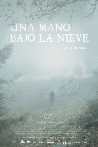 Póster de Una Mano Bajo La Nieve
