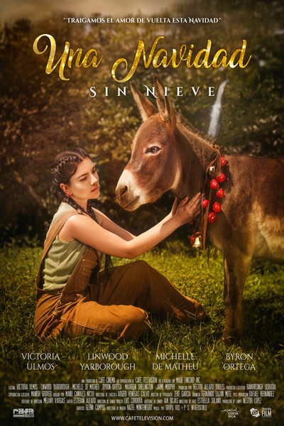 Póster de Una Navidad sin nieve