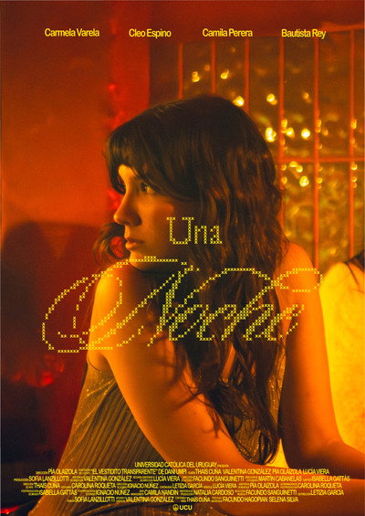 Póster de Una noche