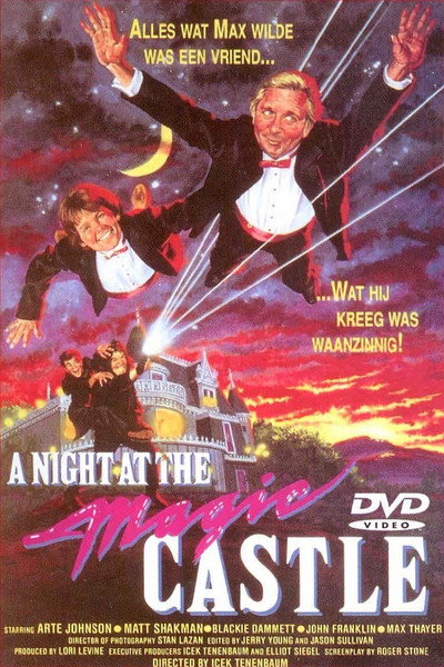 Póster de Una noche en el castillo mágico
