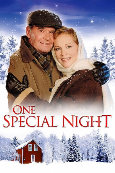 Póster de Una noche especial