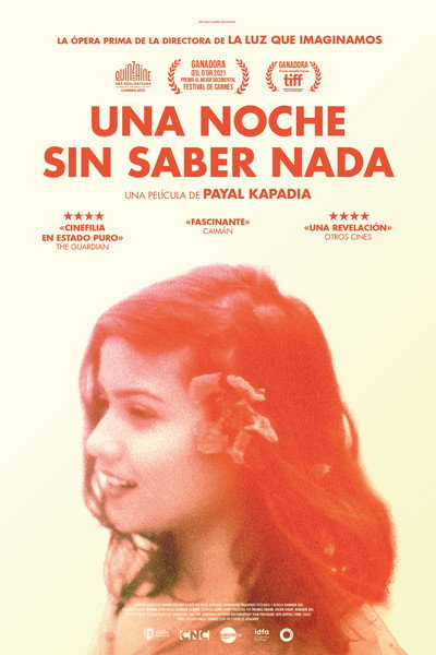 Póster de Una noche sin saber nada