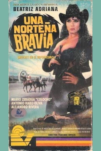 Póster de Una norteña bravía