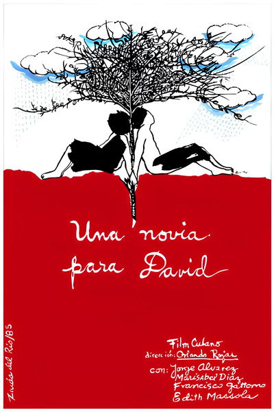 Póster de Una novia para David