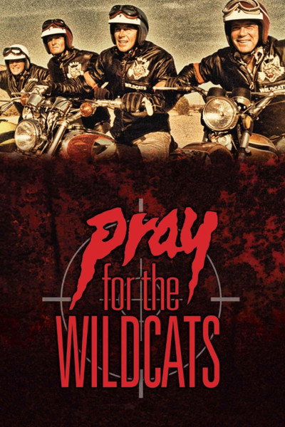 Póster de Una oración para los gatos salvajes