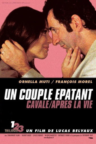 Póster de Una pareja perfecta
