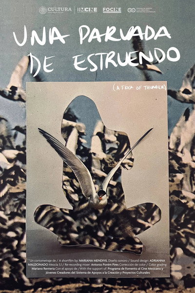 Póster de Una parvada de estruendo