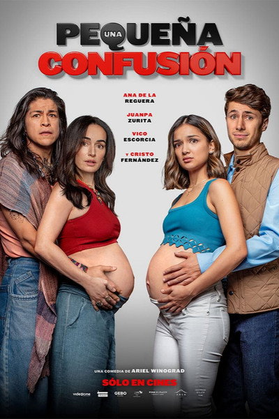 Póster de Una pequeña confusion