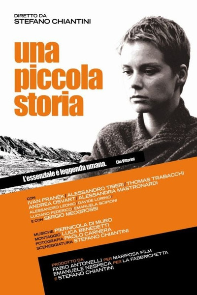 Póster de Una piccola storia