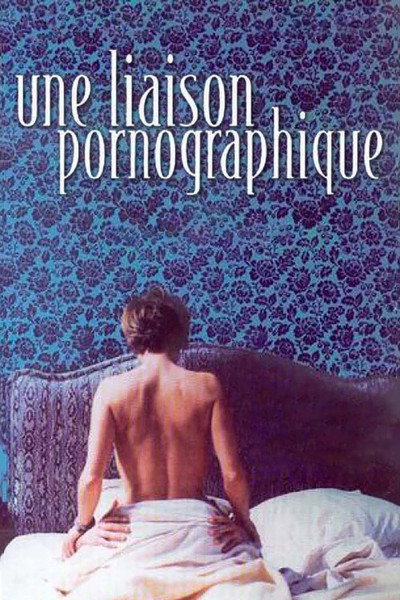 Póster de Una relación pornográfica