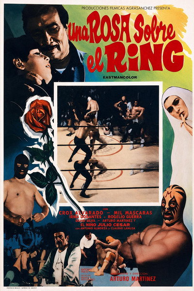 Póster de Una rosa sobre el ring