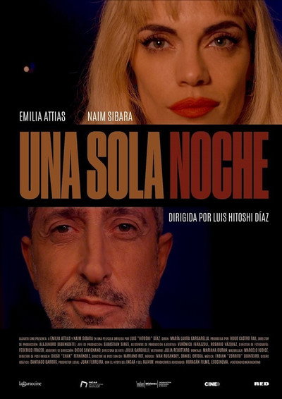 Póster de Una Sola Noche