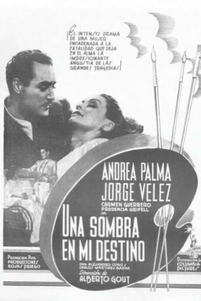 Póster de Una sombra en mi destino