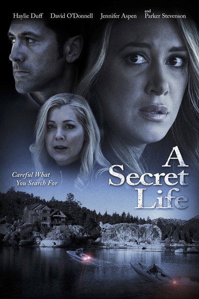 Póster de Una vida secreta