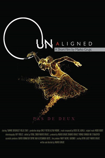 Póster de Unaligned