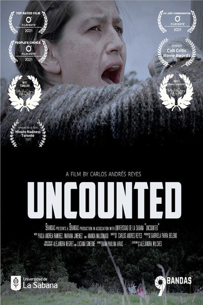 Póster de Uncounted