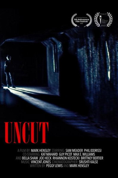 Póster de Uncut