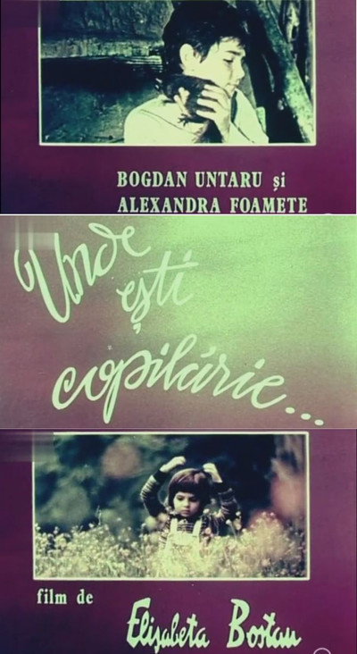 Póster de Unde esti copilarie?