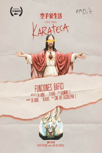Póster de Undefeated