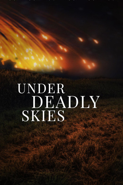 Póster de Under Deadly Skies: Ukraine's Eastern Front
