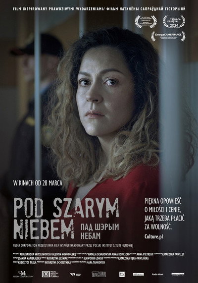 Póster de Under the Grey Sky