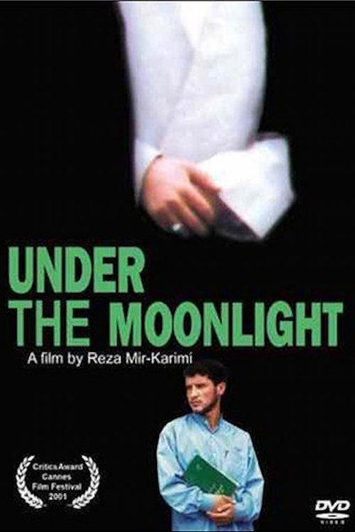 Póster de Under the Moonlight
