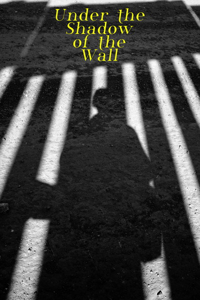 Póster de Under the Shadow of the Wall