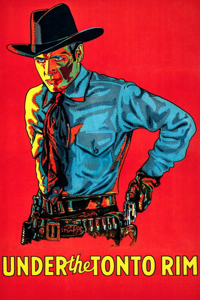 Póster de Under the Tonto Rim