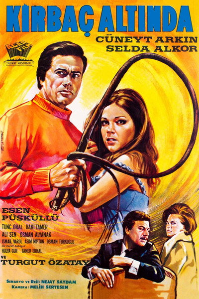 Póster de Under the Whip