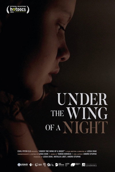Póster de Under the Wing of a Night