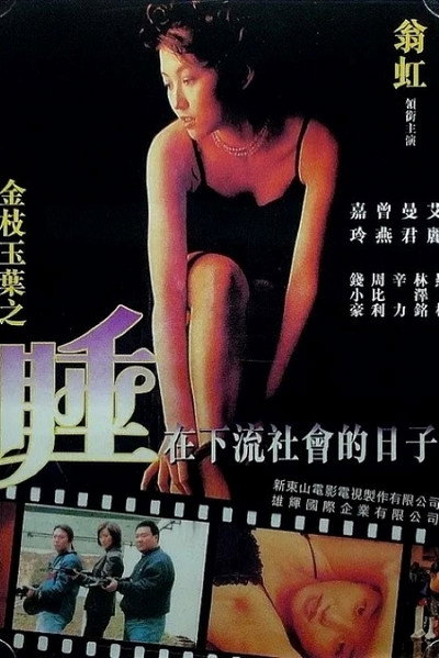Póster de Undercover Girls