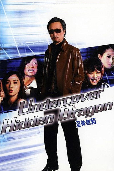 Póster de Undercover Hidden Dragon