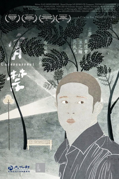 Póster de Undercurrent