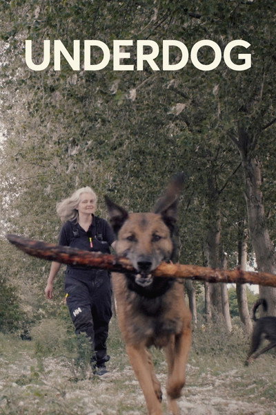 Póster de Underdog