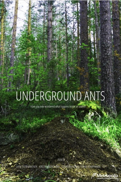 Póster de Underground Ants