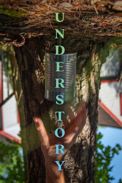 Póster de Understory