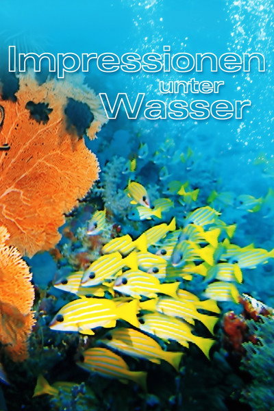 Póster de Underwater Impressions