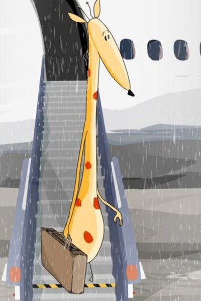 Póster de Une girafe sous la pluie