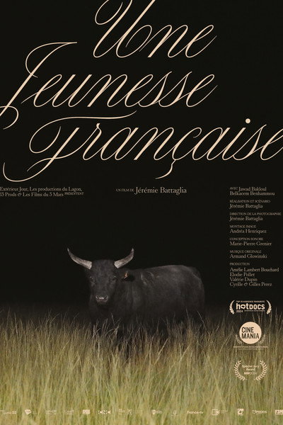 Póster de Une jeunesse française