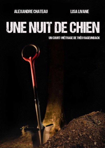 Póster de Une nuit de chien