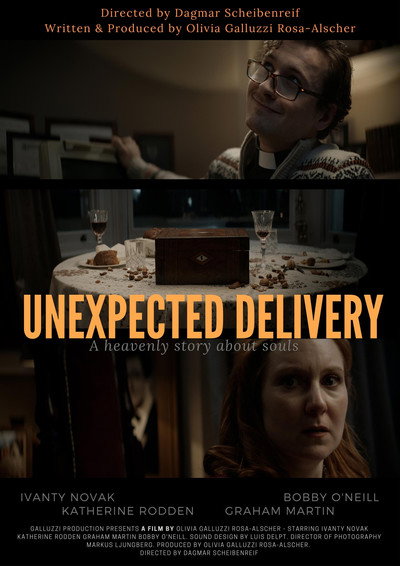 Póster de Unexpected Delivery