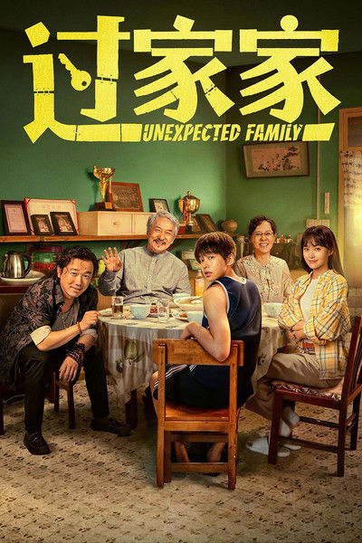 Póster de Unexpected Family