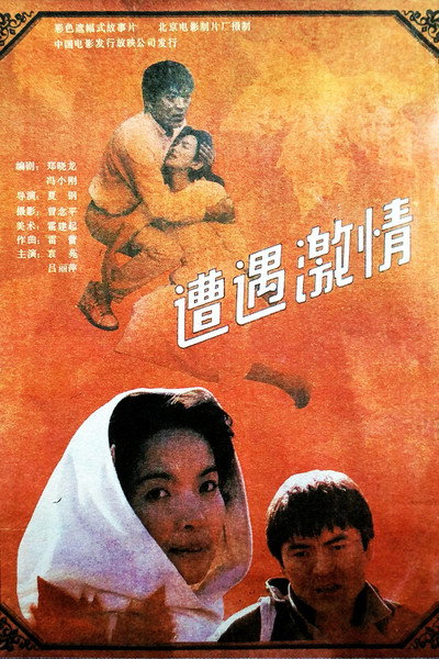Póster de Unexpected Passion