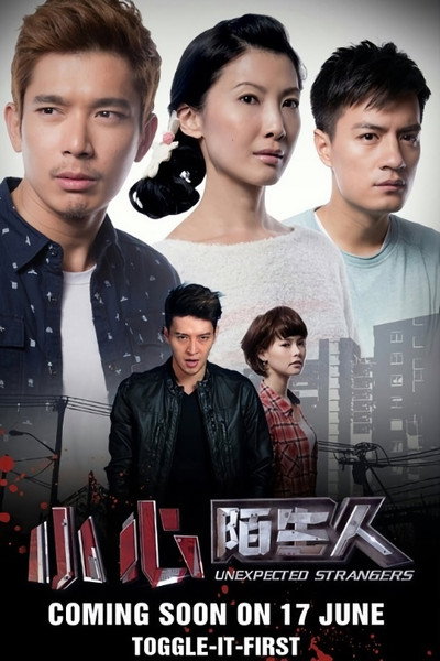 Póster de Unexpected Strangers